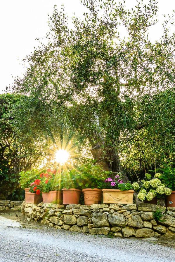 B&B Villa Giulia Saturnia Εξωτερικό φωτογραφία